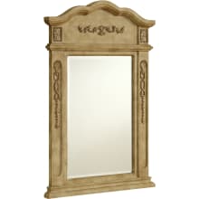 Danville 36" x 24" Rectangular Beveled Wood Frame/Design Mirror