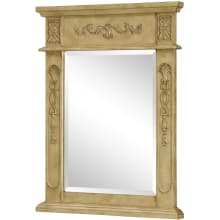Danville 28" x 22" Rectangular Beveled Wood Frame/Design Mirror