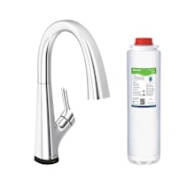 Single Hole 2-in-1 Kitchen Faucet with Filtered Drinking Water