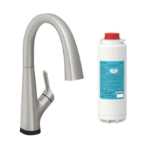 Single Hole 2-in-1 Kitchen Faucet with Filtered Drinking Water