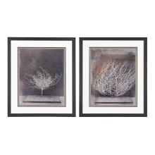 28" x 24" Art Prints - Desert Form V and VI - Set of Two