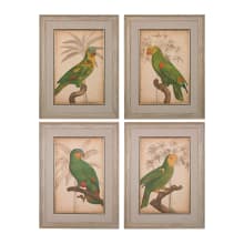33" x 26" Art Prints - Parrot and Palm I - IV - Set of Four