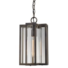 Bianca 1 Light 8" Wide Outdoor Pendant with Curved Seeded Glass