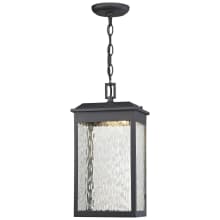 1 Light LED Outdoor Pendant with Clear Water Glass Shade from the Newcastle Collection