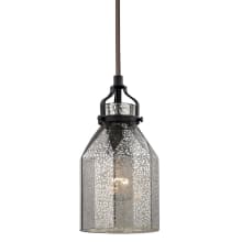 Danica Single Light 5" Wide Mini Pendant with Round Canopy and Pewter Glass Shade