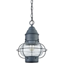 Onion 1 Light 10" Wide Outdoor Pendant with Clear Seedy Glass Shade
