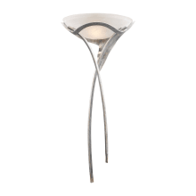 1 Light LED Wall Washer Wall Sconce From The Aurora Collection