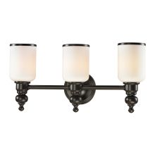 Bristol Way 3 Light 21" Vanity Fixture with Frosted Glass Shade