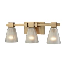 Ensley 3 Light 20" Wide Bathroom Vanity Light with Frosted Glass Shades