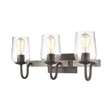 Dillon 3 Light 22" Wide Bathroom Vanity Light