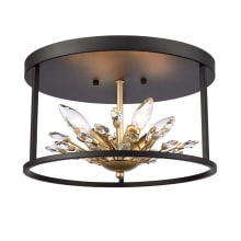 Clairvoyant 4 Light Flush Mount Drum Ceiling Fixture