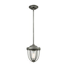 Sturgis Single Light 7" Wide Mini Pendant