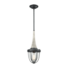 Sturgis Single Light 7" Wide Mini Pendant