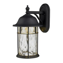 Single Light Outdoor Wall Sconce from the Lapuente Collection
