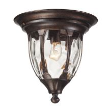 1 Light Outdoor Flush Mount Ceiling Fixture from the Glendale Collection