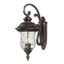 2 Light Outdoor Lantern Wall Sconce From The Lafayette Collection