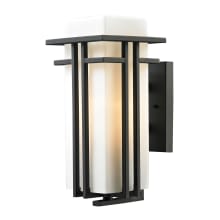 Croftwell 1 Light LED Outdoor Wall Sconce