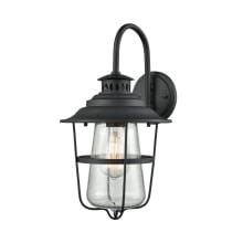 San Mateo Single Light 15" High Outdoor Wall Sconce with Clear Seedy Glass Shade