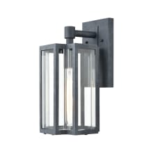 Bianca Single Light 13" Tall Outdoor Wall Sconce