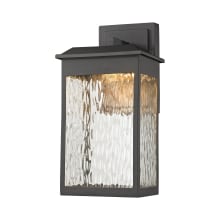1 Light LED Outdoor Lantern Wall Sconce with Clear Water Glass Shade from the Newcastle Collection