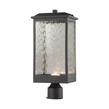1 Light LED Outdoor Post Light with Clear Water Glass Shade from the Newcastle Collection