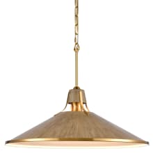 Danique 24" Wide Wood Pendant