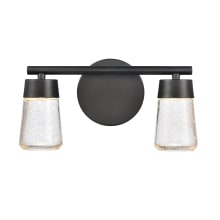 Jergen 2 Light 13" Wide LED Vanity Light