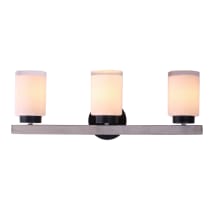 Briggs 3 Light 24" Wide Vanity Light