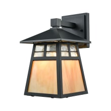 1 Light LED Outdoor Lantern Wall Sconce with Clear and Copper Glass Shades from the Cottage Collection