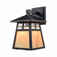 1 Light Outdoor Lantern Wall Sconce with Clear and Copper Glass Shades from the Cottage Collection