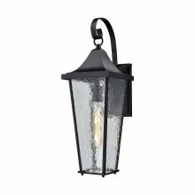 1 Light Outdoor Lantern Wall Sconce with Clear Seedy Glass Shades from the Vinton Collection