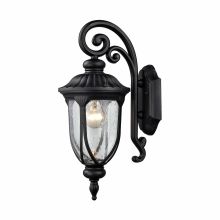 1 Light Outdoor Lantern Wall Sconce with Seedy Glass Shade from the Derry Hill Collection