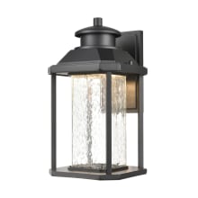 Irvine Single Light 13" Tall LED Outdoor Wall Sconce