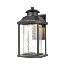 Irvine Single Light 16" Tall LED Outdoor Wall Sconce