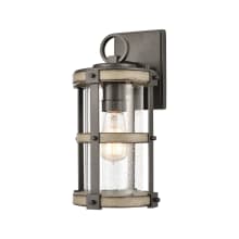 Annenberg 14" Tall Outdoor Wall Sconce