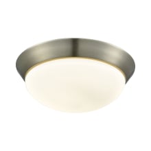 Contours Single Light 12-3/4" Wide Integrated LED Flush Mount Ceiling Fixture with Bowl Shaped Glass Shade