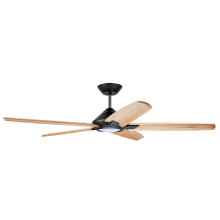 Ceiling Fans