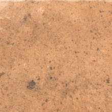 Newberry - 8" x 16" Rectangle Floor Tile - Unpolished Visual - Sold by Carton (10.33 SF/Carton)