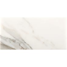 Marble - 4" x 8" Rectangle Floor and Wall Tile - Polished Visual - Sold by Sheet (0.22 SF/Sheet)