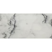 Vicenza - 6" x 12" Rectangle Floor and Wall Tile - Polished Visual - Sold by Sheet (0.49 SF/Sheet)