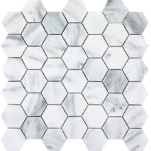 Marble - 12" x 12" Hexagon Wall Tile - Polished Visual - Sold by Sheet (0.98 SF/Sheet)