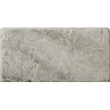 Trav Ancient Tumbled - 3" x 6" Rectangle Floor and Wall Tile - Honed Visual - Sold by Sheet (0.12 SF/Sheet)