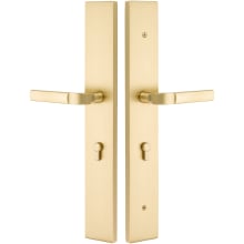 Brass Modern Door Configuration 5 Half Inactive Half Passage Multi Point Trim with European Cylinder Below Handle