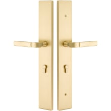 Brass Modern Door Configuration 5 Half Inactive Half Passage Multi Point Trim with European Cylinder Below Handle