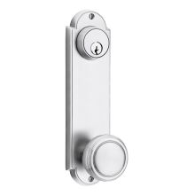 Delaware Series Single Cylinder Keyed Entry Set with 9 Inch Tall Backplate From the American Classic Collection