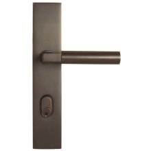 Door Configuration 6 Keyed Entry Multi Point Trim Lever Set with American Cylinder Below Handle