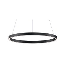 Groove 24" Wide LED Ring Chandelier