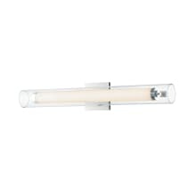 Centrum 22" Wide LED Bath Bar