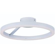 Cirque 20" Wide LED Ceiling or Wall Light