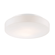 Ramata 2 Light 13" Wide Flush Mount Drum Ceiling Fixture / Wall Sconce with Frosted Glass Shade